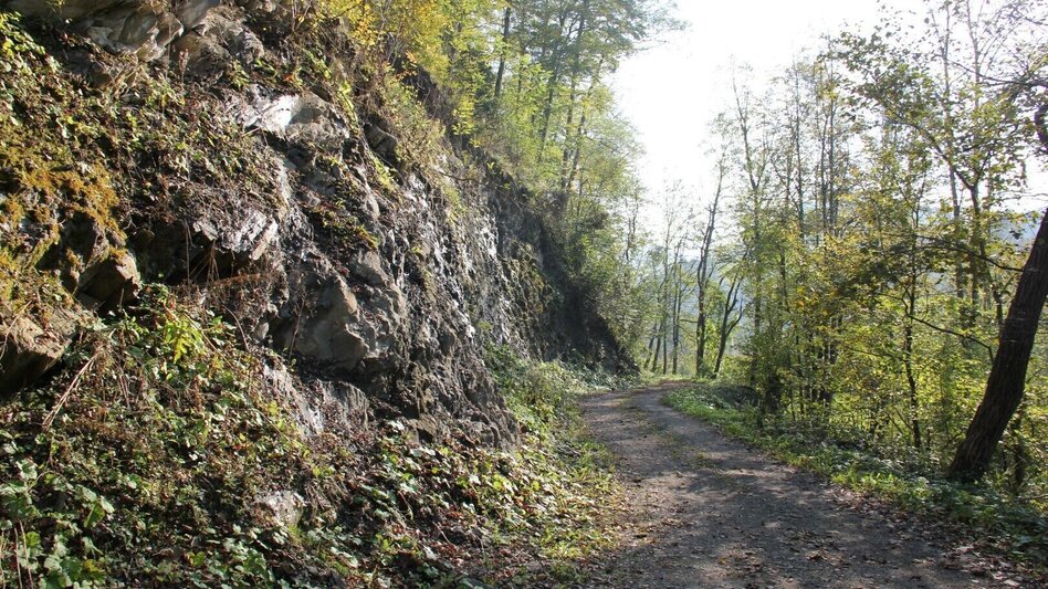 Hiking route Kleeblattwanderweg Nr. 2 - Wandern in Leutschach a.d.W. - Touren-Impression #2.1 | © Ulrike Elsneg