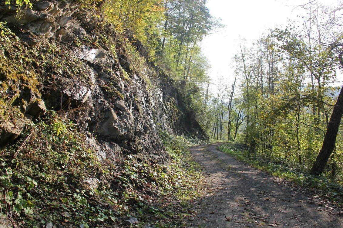 Hiking route Kleeblattwanderweg Nr. 2 - Wandern in Leutschach a.d.W. - Touren-Impression #1 | © Ulrike Elsneg