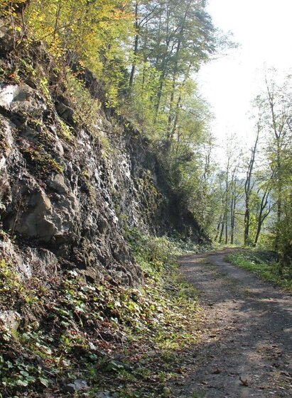 kleeblattwanderweg nr. 2 - wandern in leutschach a.d.w._img_11983546 | © Ulrike Elsneg | Ulrike Elsneg | © Ulrike Elsneg