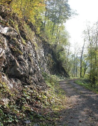 kleeblattwanderweg nr. 2 - wandern in leutschach a.d.w._img_11983546 | Ulrike Elsneg | © Ulrike Elsneg