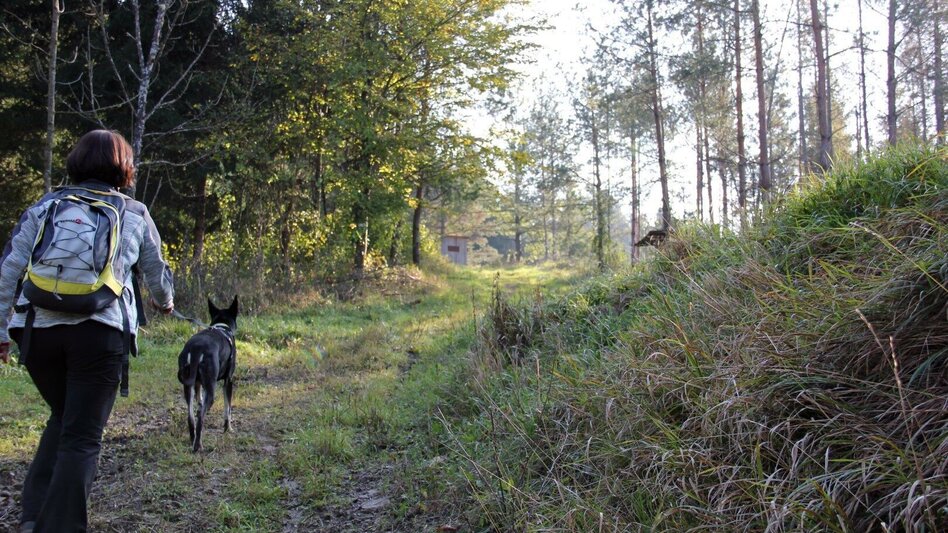 Hiking route Kleeblattwanderweg Nr. 2 - Wandern in Leutschach a.d.W. - Touren-Impression #2.2 | © Erlebnisregion Südsteiermark