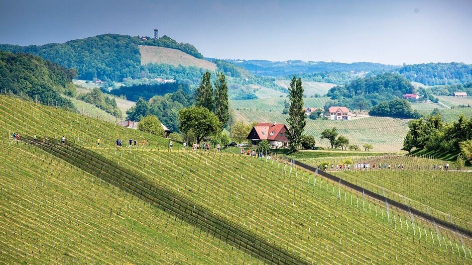 Jogging WelschLauf Marathon 2023 - Touren-Impression #2.6 | © WelschLauf/SYMBOL-SCHIFFER