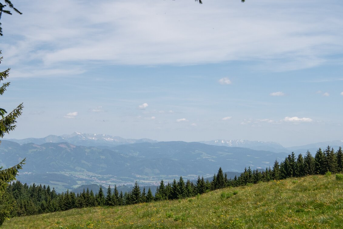 Hiking route From the Alpine Inn Kirl to Rosseck and Mugl - Touren-Impression #1 | © Tourismusverband Bruck an der Mur