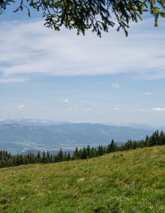 Wanderung | K. Pashkovskaya | © Tourismusverband Bruck an der Mur