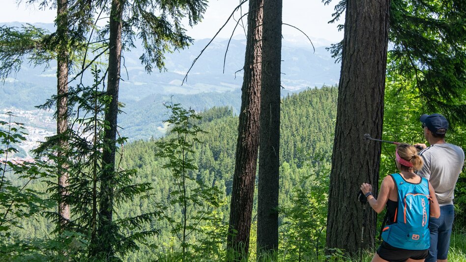 Hiking route From the Alpine Inn Kirl to Rosseck and Mugl - Touren-Impression #2.2 | © Tourismusverband Bruck an der Mur