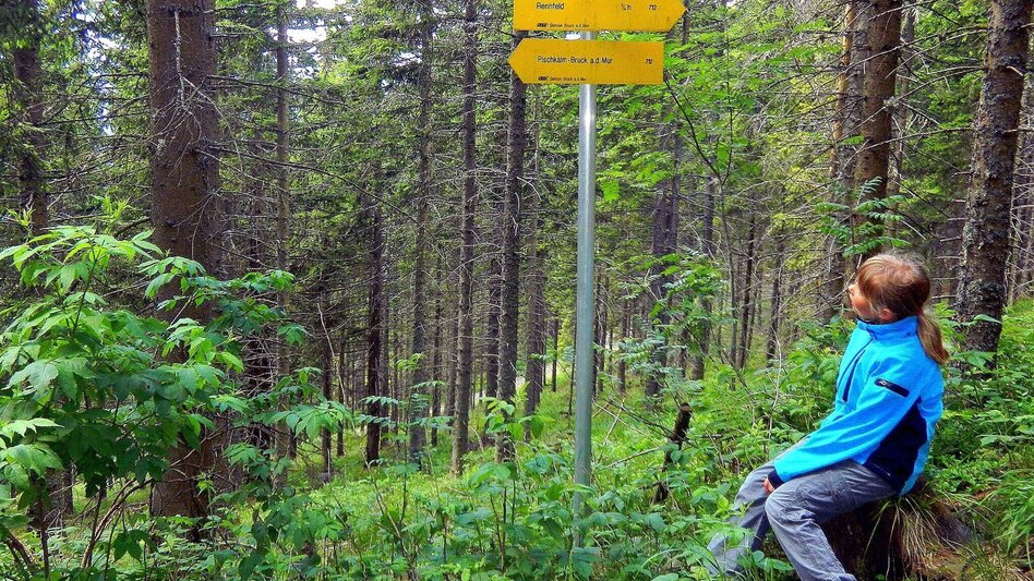 Hiking route Hike from Pischkalm to Rennfeld - Touren-Impression #2.1 | © TV Hochsteiermark