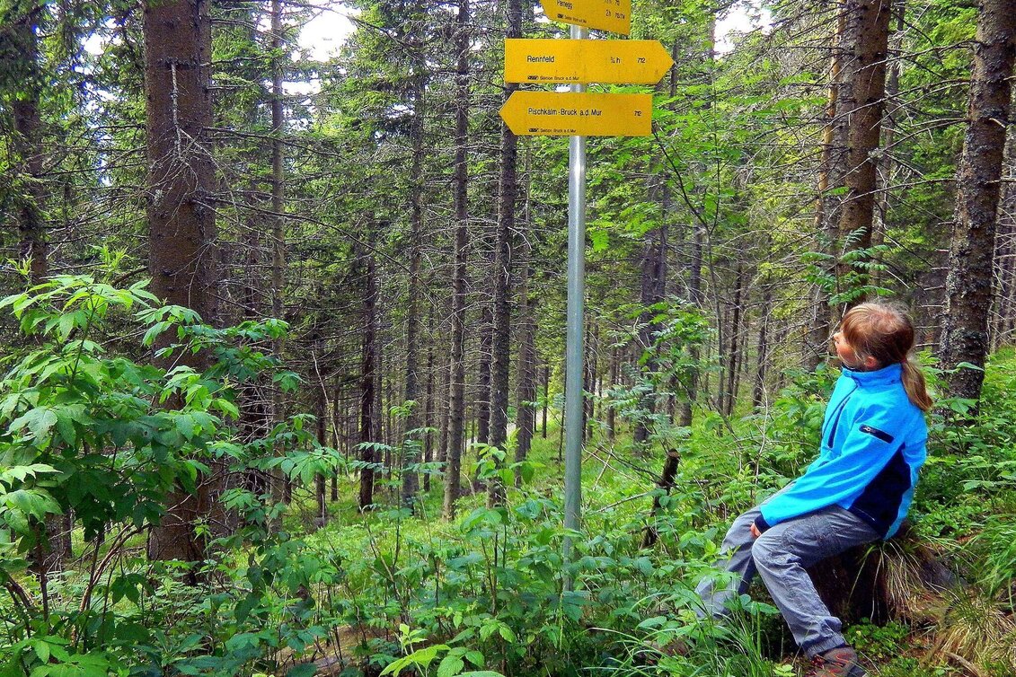 Hiking route Hike from Pischkalm to Rennfeld - Touren-Impression #1 | © TV Hochsteiermark