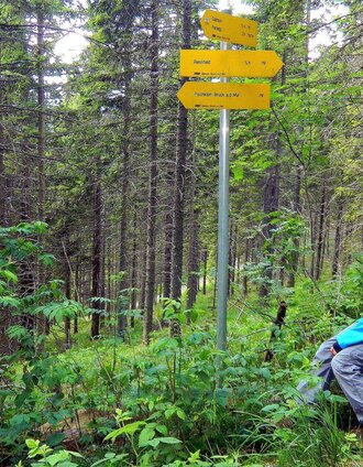 Am Weg zum Rennfeld | Katrin Fleck | © TV Hochsteiermark