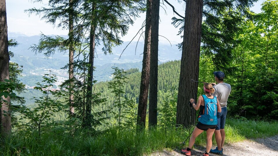 Hiking route From Bruck via the "Tausendersteig" to Schweizeben - Touren-Impression #2.4 | © TV Hochsteiermark