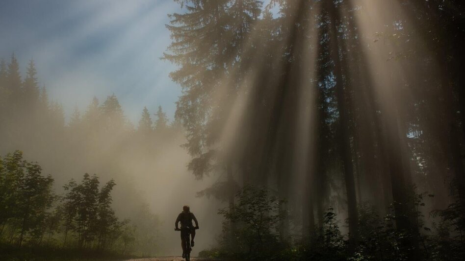 Mountain Biking Grabneralm - Touren-Impression #2.7 | © TV Gesäuse