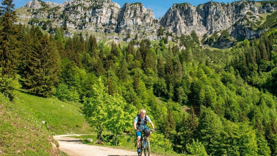 Mountain Biking Grabneralm - Touren-Impression #2.10 | © TV Gesäuse
