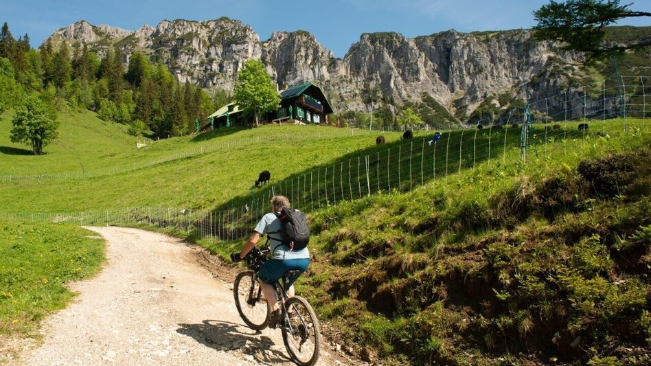 Mountain Biking Grabneralm - Touren-Impression #2.11 | © TV Gesäuse