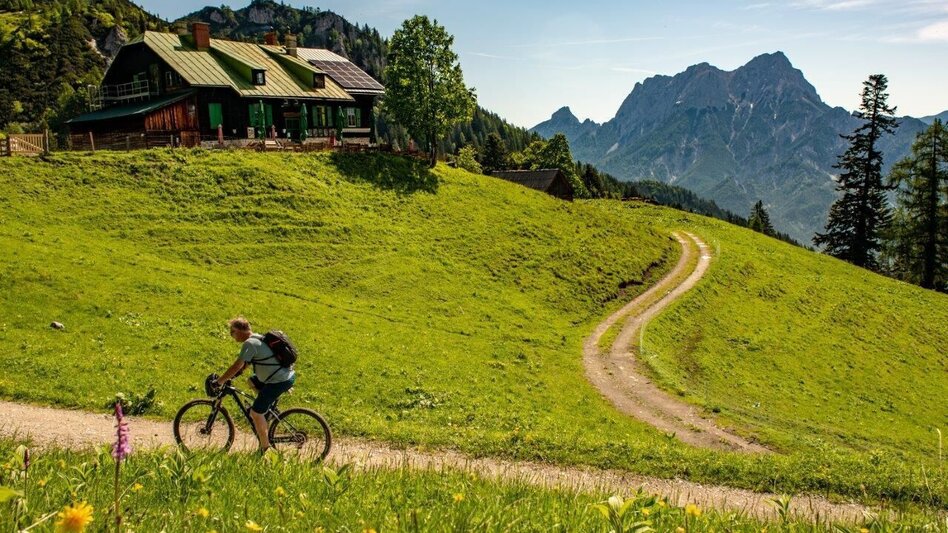 Mountain Biking Grabneralm - Touren-Impression #2.12 | © TV Gesäuse