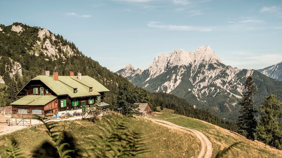 Mountain Biking Grabneralm - Touren-Impression #2.1 | © TV Gesäuse