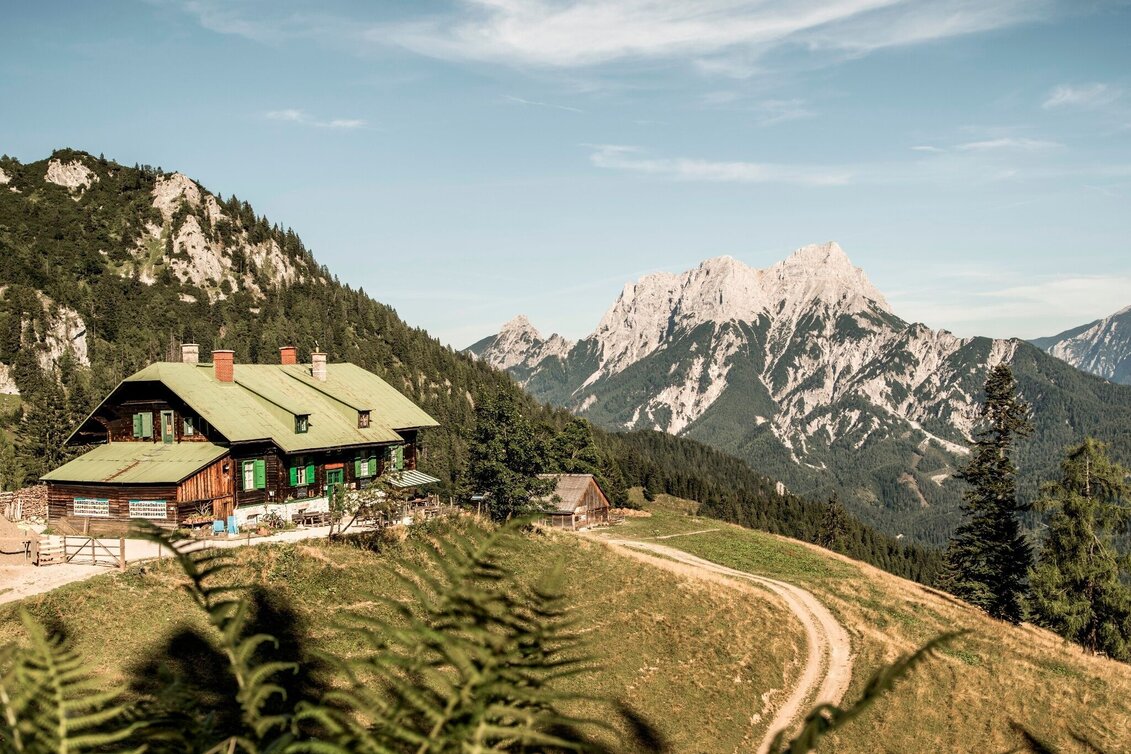 Mountain Biking Grabneralm - Touren-Impression #1 | © TV Gesäuse