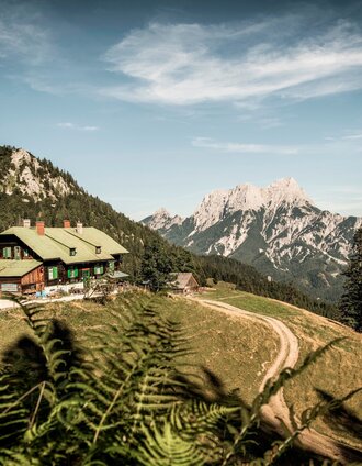 Grabneralm, der Balkon zum Gesäuse | Stefan Leitner | © TV Gesäuse