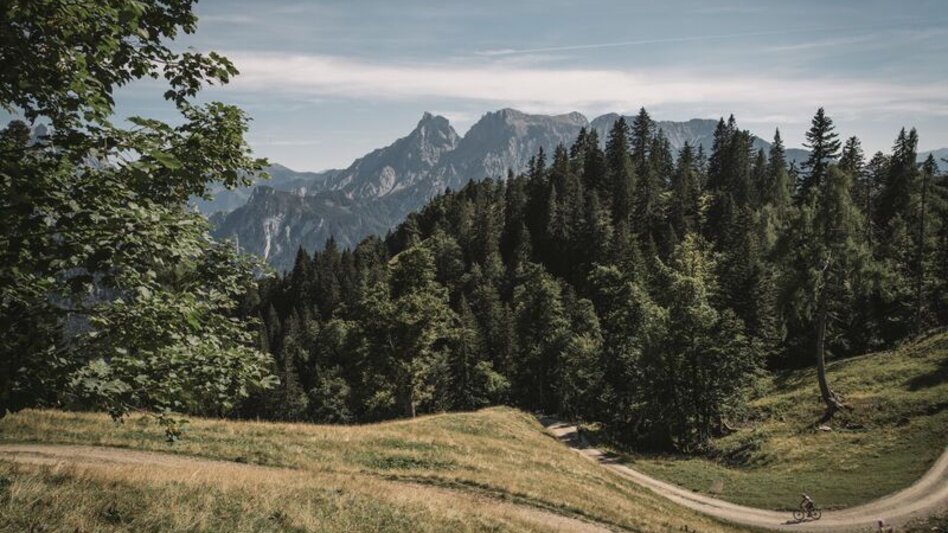 Mountain Biking Grabneralm - Touren-Impression #2.3 | © TV Gesäuse