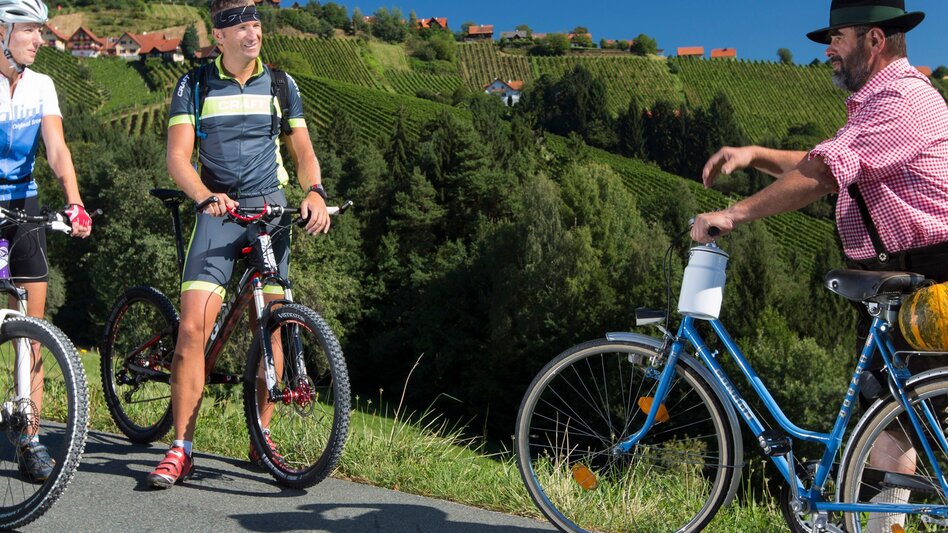 Bike Riding Stage 02 Styrian Wine Country Cycling Route Deutschlandsberg - Lieboch/Söding - Touren-Impression #2.1 | © Steiermark Tourismus/Harry Schiffer