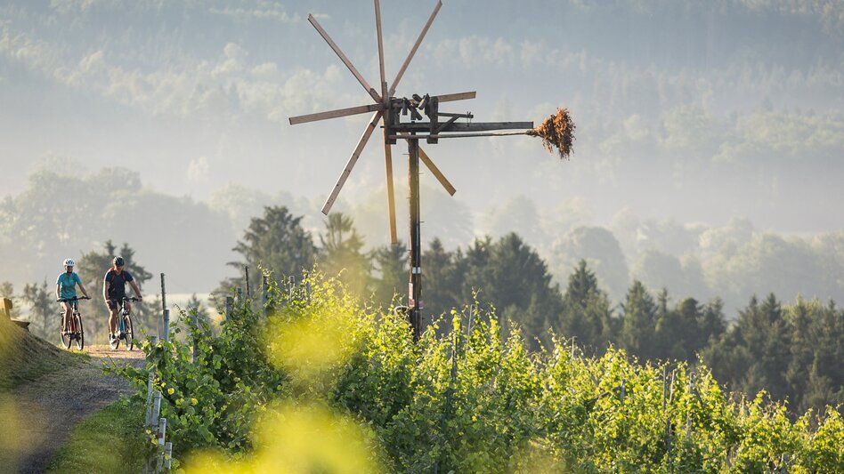 Bike Riding Stage 02 Styrian Wine Country Cycling Route Deutschlandsberg - Lieboch/Söding - Touren-Impression #2.2 | © Schilcherland Steiermark/Velontour