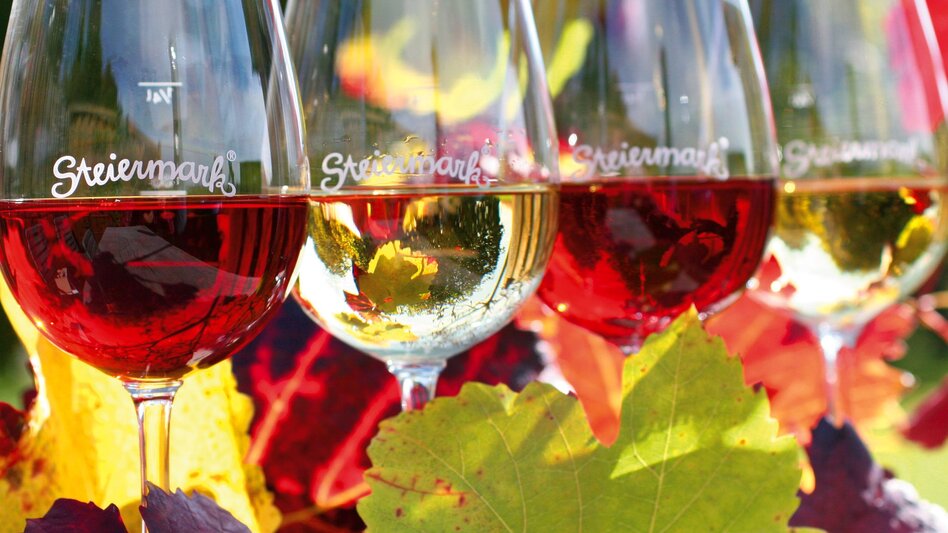 Bike Riding Stage 02 Styrian Wine Country Cycling Route Deutschlandsberg - Lieboch/Söding - Touren-Impression #2.3 | © Steiermark Tourismus/Harry Schiffer