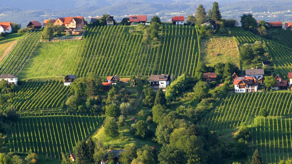 Bike Riding Stage 02 Styrian Wine Country Cycling Route Deutschlandsberg - Lieboch/Söding - Touren-Impression #2.4 | © Steiermark Tourismus/Harry Schiffer