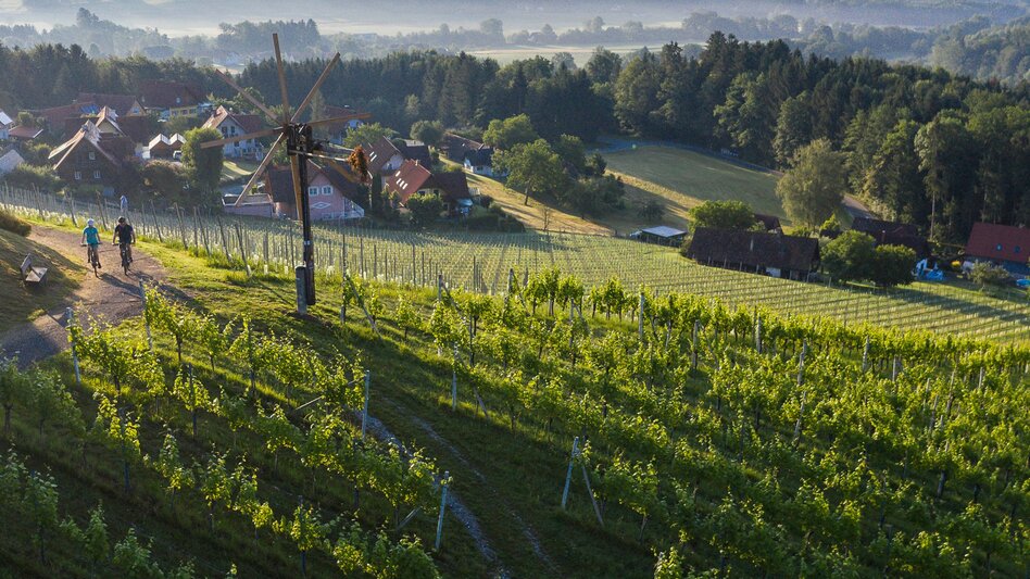 Bike Riding Stage 02 Styrian Wine Country Cycling Route Deutschlandsberg - Lieboch/Söding - Touren-Impression #2.6 | © Schilcherland Steiermark/Velontour