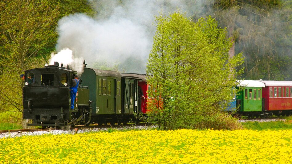 Bike Riding Stage 02 Styrian Wine Country Cycling Route Deutschlandsberg - Lieboch/Söding - Touren-Impression #2.7 | © TV Schilcherland-Stainz-Reinischkogel