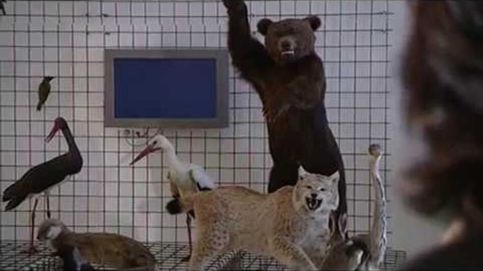 Bike Riding Stage 02 Styrian Wine Country Cycling Route Deutschlandsberg - Lieboch/Söding - Touren-Impression #2.9 | © Universalmuseum Joanneum