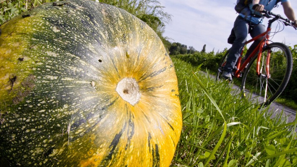 Radfahren Etappe 03 Weinland Steiermark Radtour Lieboch/Söding - Graz - Touren-Impression #2.3 | © Steiermark Tourismus/Gerhard Eisenschink