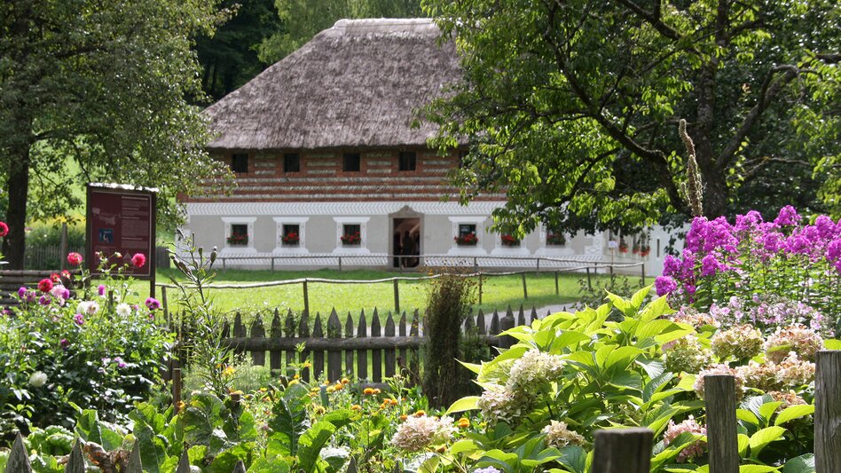 Radfahren Etappe 03 Weinland Steiermark Radtour Lieboch/Söding - Graz - Touren-Impression #2.7 | © Österreichisches Freilichtmuseum Stübing