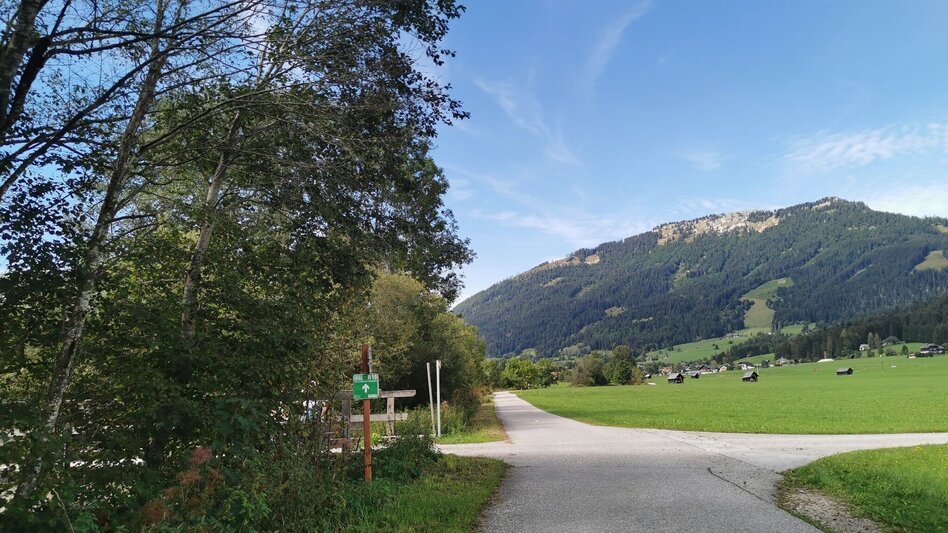 Wanderung Obersdorfer Rundweg - Touren-Impression #2.2