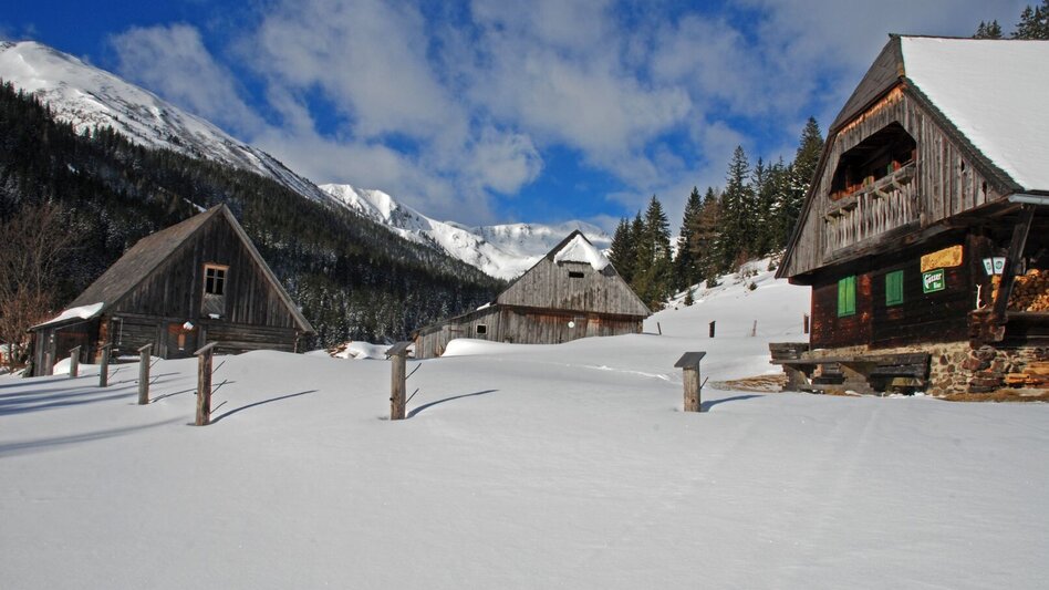 Ski Touring Ski tour via the Schwabergerhütte to the Kreuzkogel - Touren-Impression #2.5 | © GH Beren