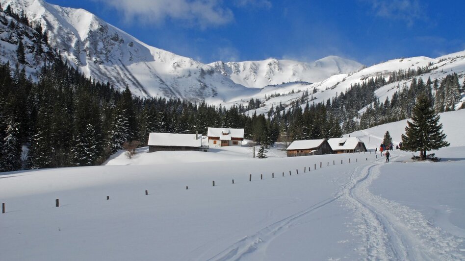 Ski Touring Ski tour via the Schwabergerhütte to the Kreuzkogel - Touren-Impression #2.6 | © GH Beren