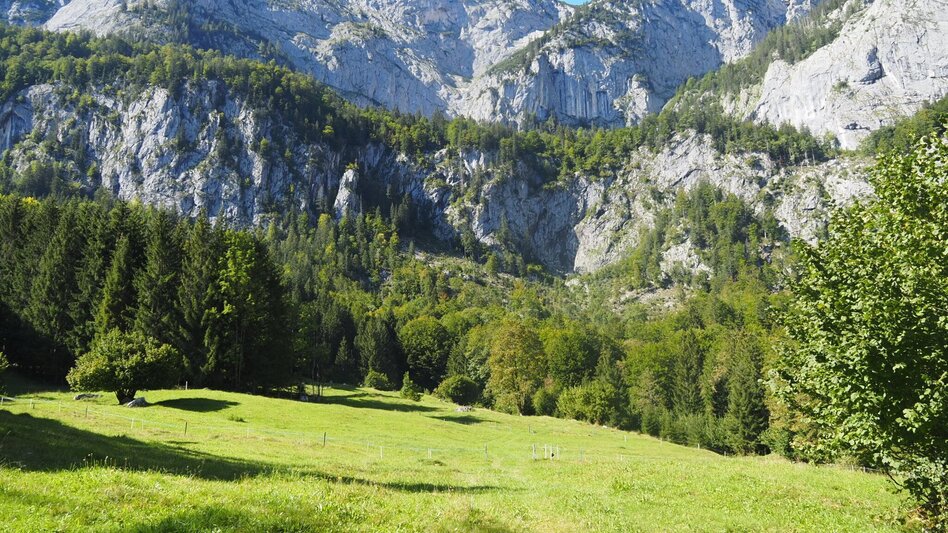Hiking route Gaiswinkler circular path - Touren-Impression #2.5 | © TVB Ausseerland Salzkammergut_Theresa Schwaiger