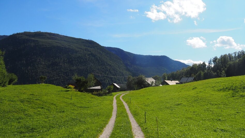 Hiking route Gaiswinkler circular path - Touren-Impression #2.6 | © TVB Ausseerland Salzkammergut_Theresa Schwaiger