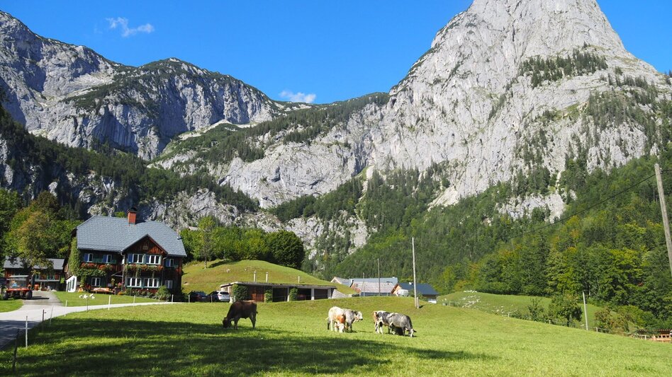 Hiking route Gaiswinkler circular path - Touren-Impression #2.4 | © TVB Ausseerland Salzkammergut_Theresa Schwaiger