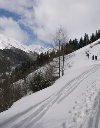 seitnerzinken_img_30880049 | Bianca Poier | © Erlebnisregion Murtal