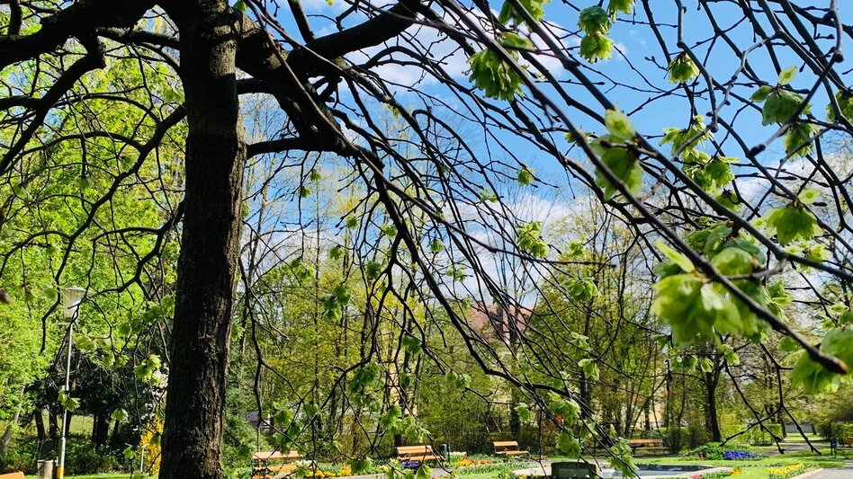 Jogging City Park Round, Gleisdorf - Touren-Impression #2.3 | © Stadtgemeinde Gleisdorf_Tourismusverband Oststeiermark