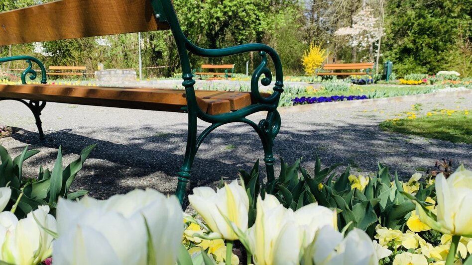 Jogging City Park Round, Gleisdorf - Touren-Impression #2.4 | © Stadtgemeinde Gleisdorf_Tourismusverband Oststeiermark