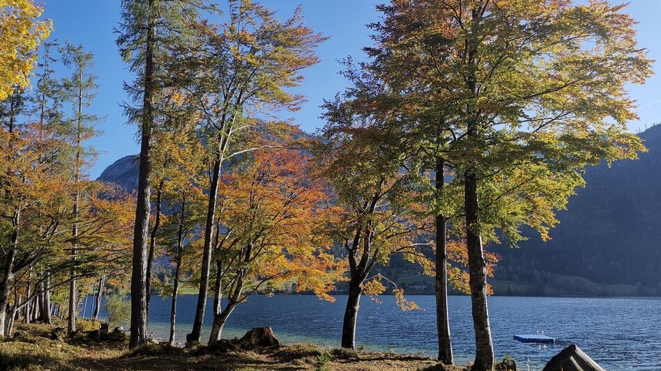 Wanderung Geotrail Grundlsee - Touren-Impression #2.3 | © Unbekannt
