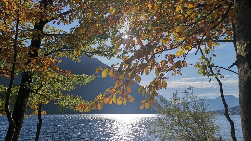 Wanderung Geotrail Grundlsee - Touren-Impression #2.4 | © Unbekannt