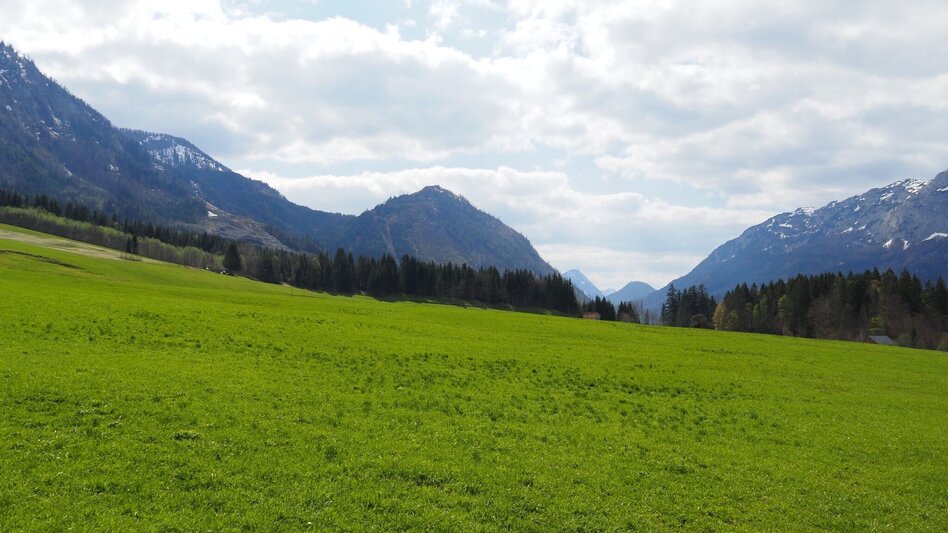 Hiking route Herbal circuit in Gößl - Touren-Impression #2.1 | © Ausseerland