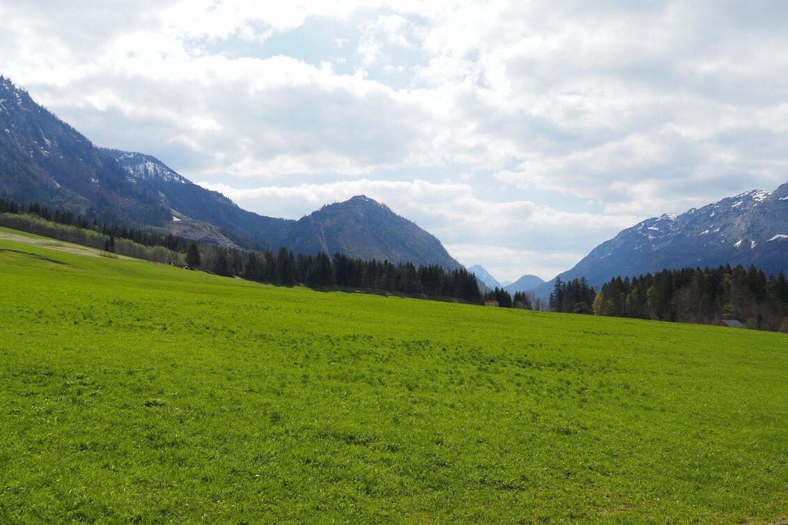 Hiking route Herbal circuit in Gößl - Touren-Impression #1 | © Ausseerland