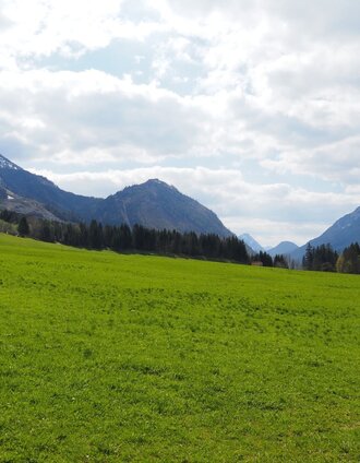 kräuterrundweg in gößl_img_80819395 | Theresa Schwaiger | © Ausseerland