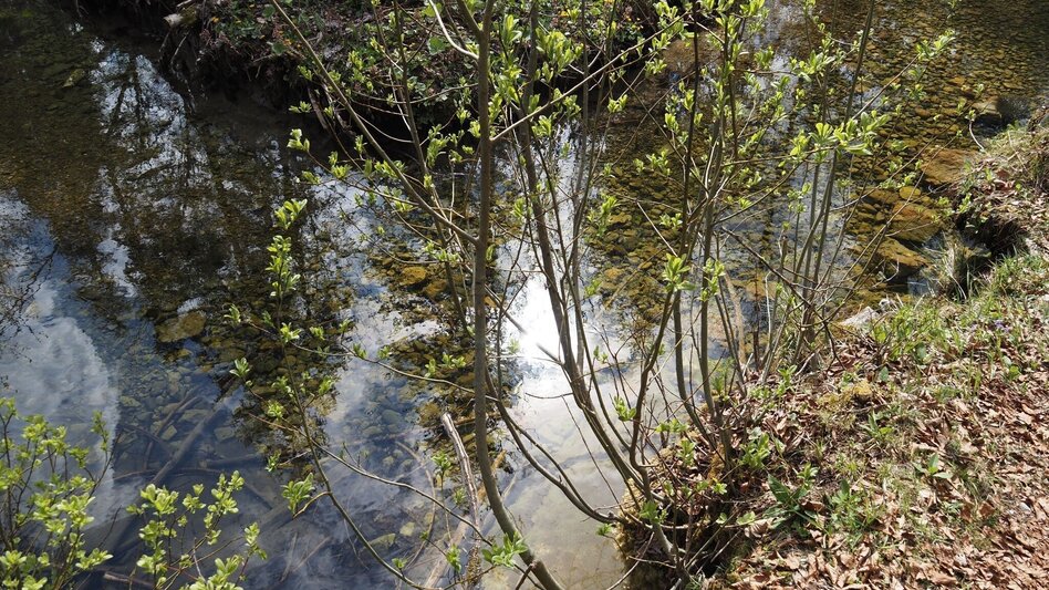 Hiking route Herbal circuit in Gößl - Touren-Impression #2.2 | © Ausseerland