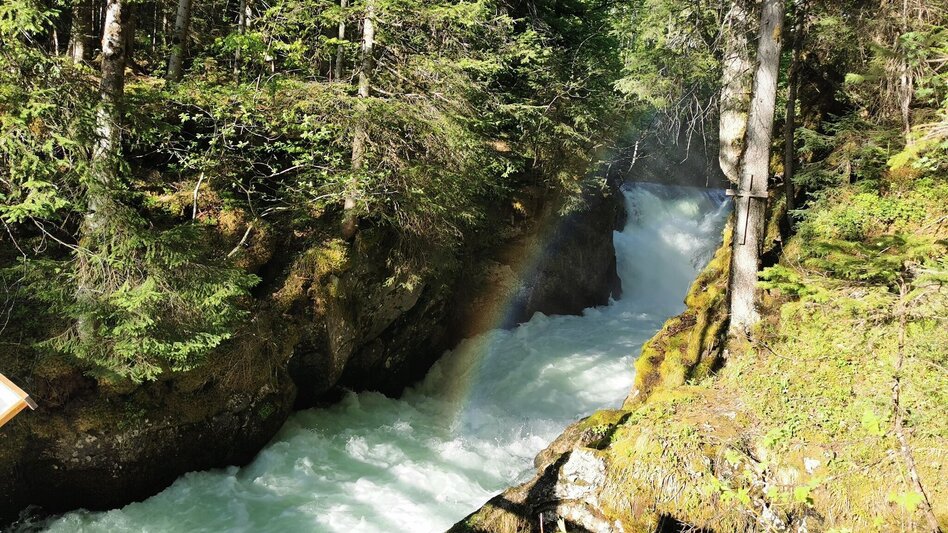 Hiking route Herbal circuit in Gößl - Touren-Impression #2.4 | © Ausseerland