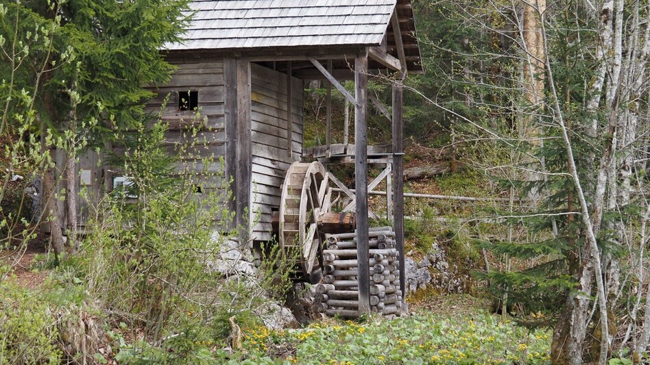 Hiking route Herbal circuit in Gößl - Touren-Impression #2.5 | © Ausseerland