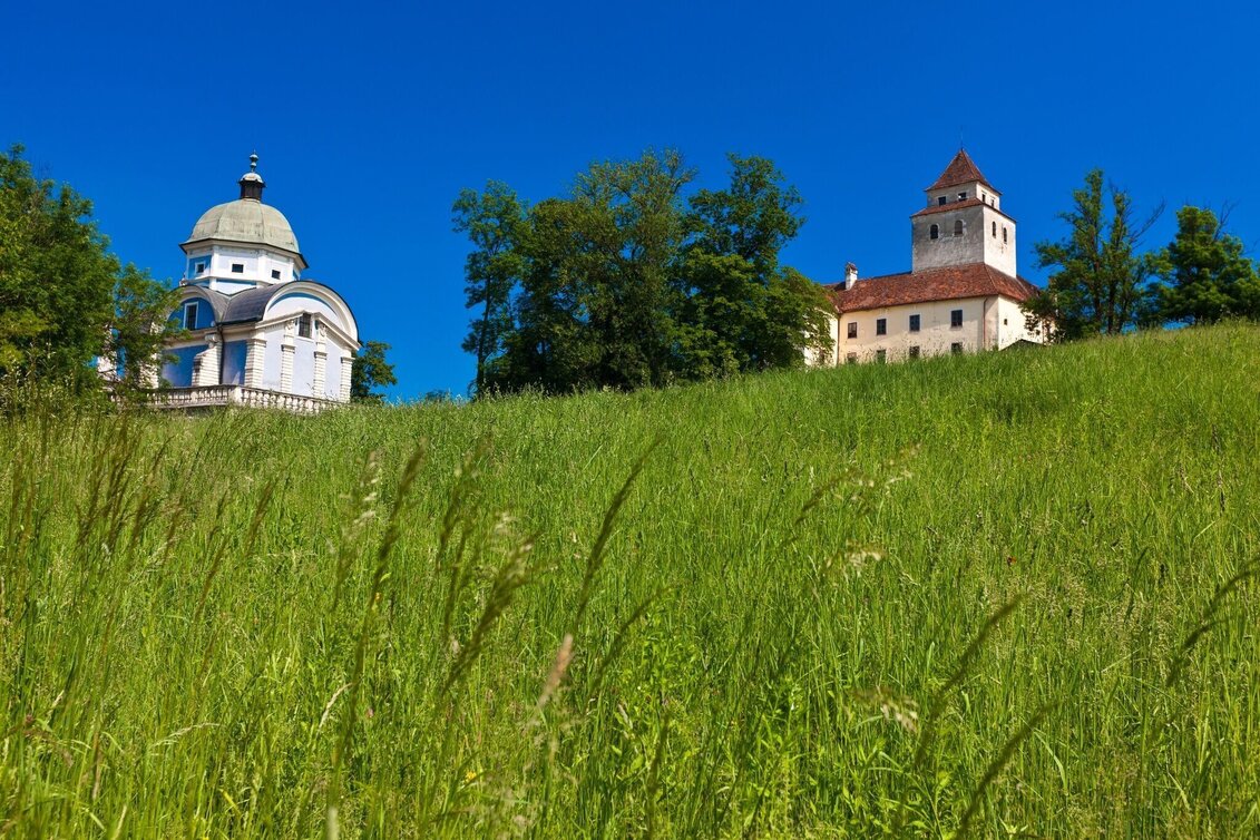 Hiking route Wandern in Ehrenhausen - Weg 1 - Touren-Impression #1 | © TVB Südsteiermark/Marktgemeinde Ehrenhausenn an der Weinstraße