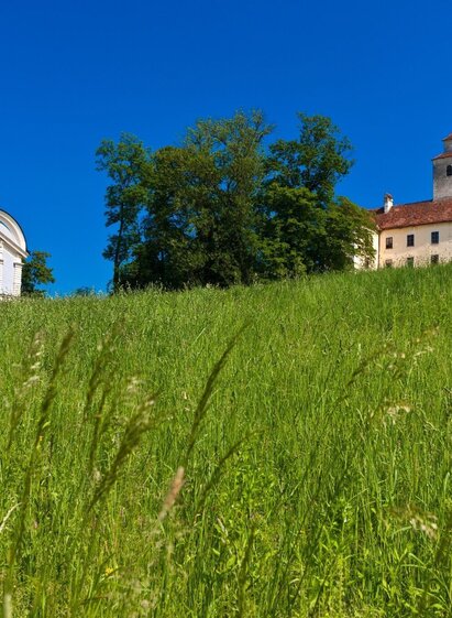 Eggenberger Mausoleum Ehrenhausen und Schloss Ehrenhausen | © TVB Südsteiermark/Marktgemeinde Ehrenhausenn an der Weinstraße | Marktgemeinde Ehrenhausen | © TVB Südsteiermark/Marktgemeinde Ehrenhausenn an der Weinstraße