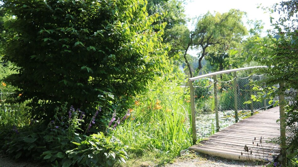 Hiking route Auen- und Moorwanderung in der Aktivregion - Touren-Impression #2.4 | © TVB Südsteiermark/Julia Kerschbaumer